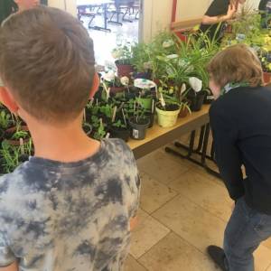 Pflanzenmarkt_23_2_original